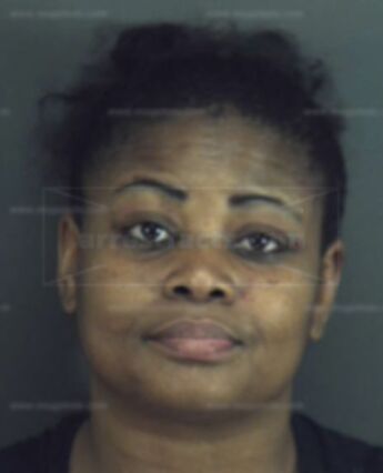 Tammy Terrill Heflin