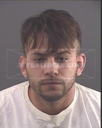 Nikko G Principato