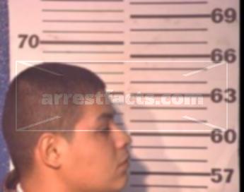 Cristo Garza Morales