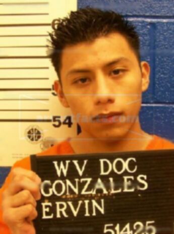 Ervin Gonzalez