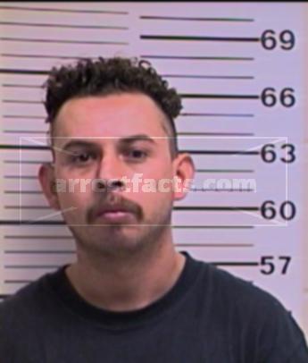 Gabriel F Venegas