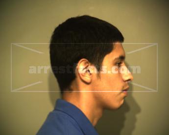 Christian Lee Alviar