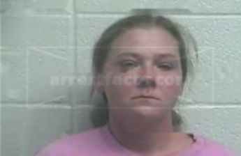 Lisa J Rogers
