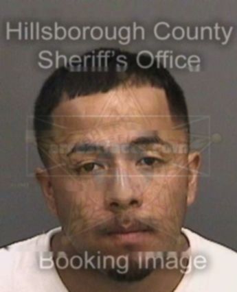 Michael Estrada
