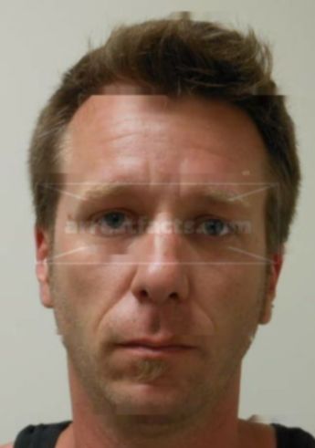 Michael A Brandt