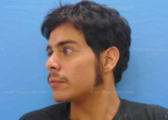 Michael Lewis Arce
