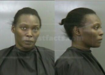 Teresa Ann York