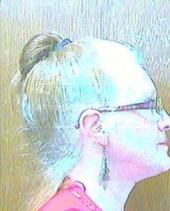 Diana L Stanley