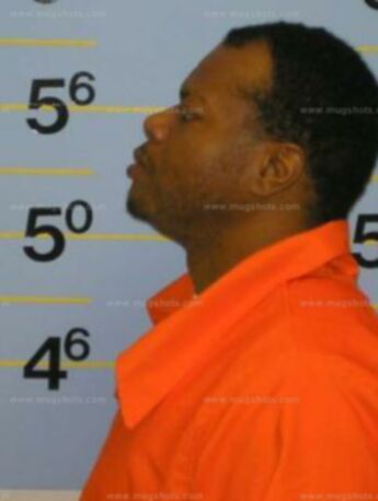 Anthony W Robins