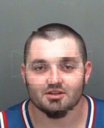 Devon L Anstine