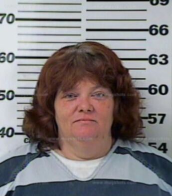 Shelia Ann Fowler
