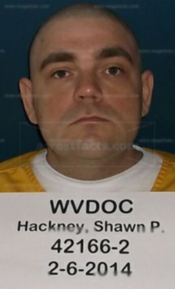 Shawn P Hackney