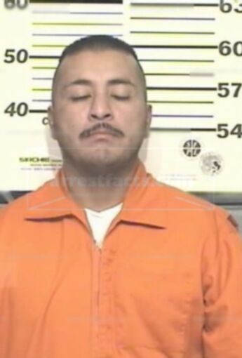 Albert Bautista