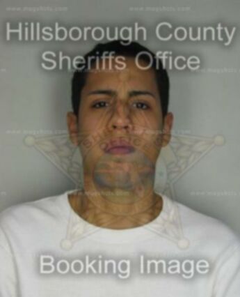 David Navarro Jr.