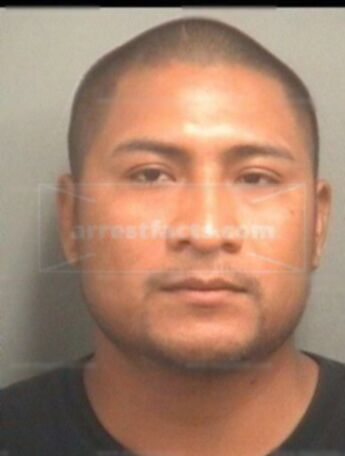 Jose J Mendoza