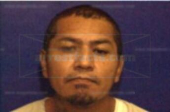Lupe T. Martinez