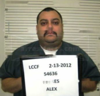 Alex Flores