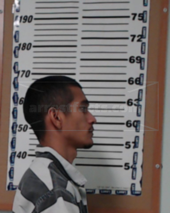 Sergio Serna-Garcia