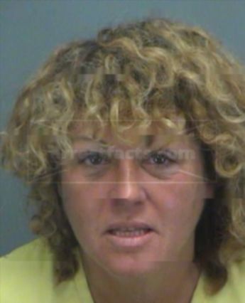 Robin Lee Ellis