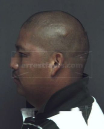 Pardo Francisco Martinez