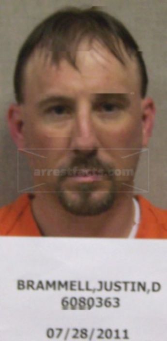 Justin D Brammell
