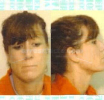 Cynthia L Barnett