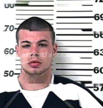 Jamie Lee Simpson