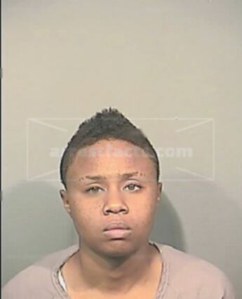 Briana Renee Hamilton