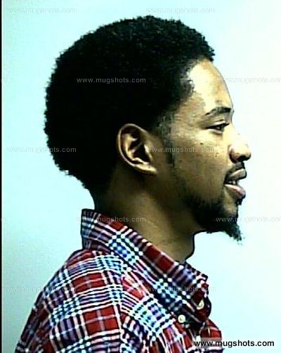 Dominique T Knight