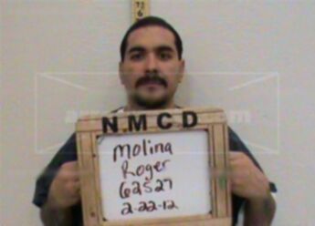 Roger A Molina