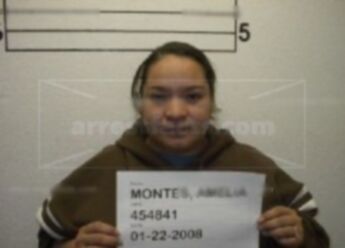 Amelia Montes