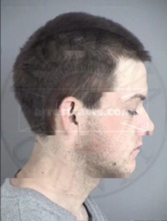 Colton David Cook