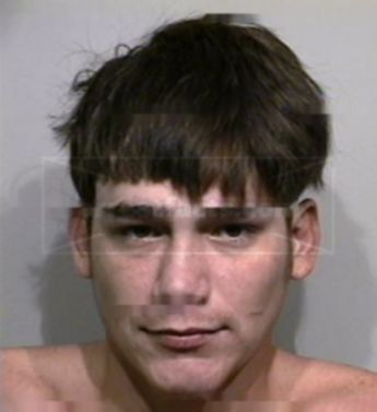 Dennis Lee Copeland