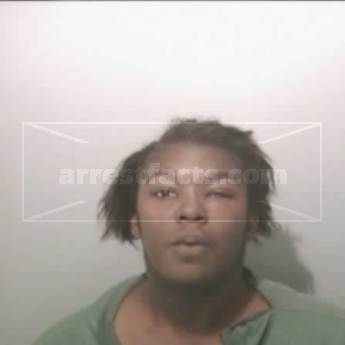 Joyce Ann King
