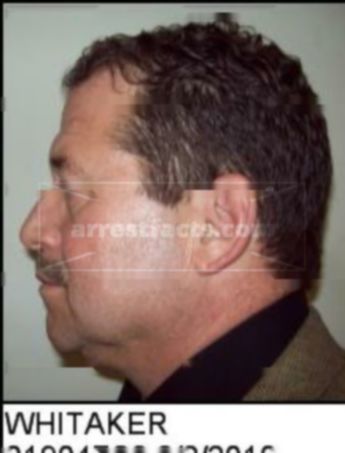 Joseph Terrizzi Whitaker Iii