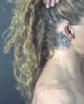 Linda Dianne Segers-Meier