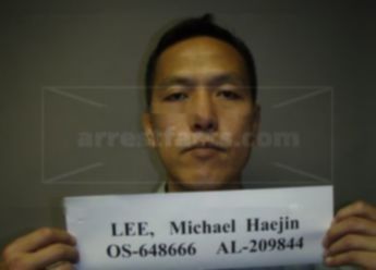 Michael Haejin Lee