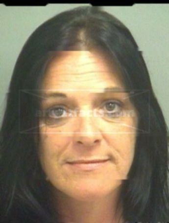 Amy June Phillips