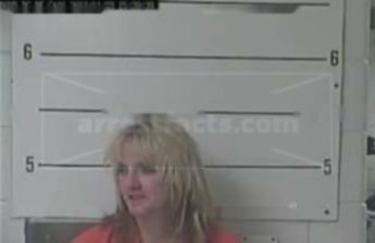 Lisa B Lewis