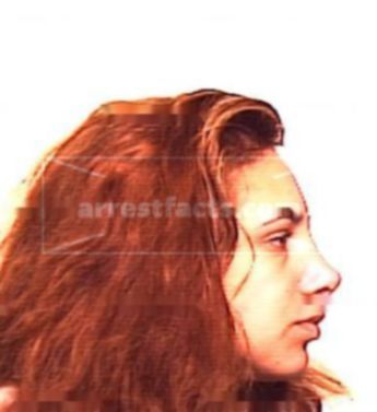 Amy Renea Debord