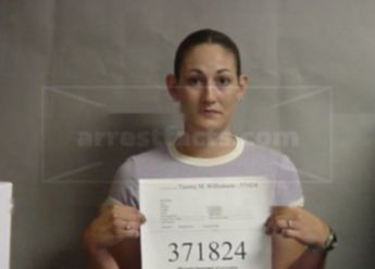 Tammy M Sargent