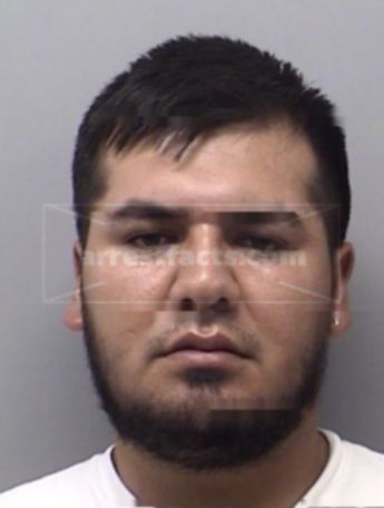 Elias Arnulfo Torres-Moreno