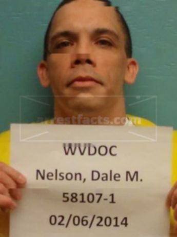 Dale M Nelson