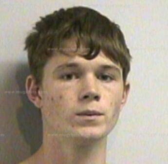 Blake Lynn Williamson