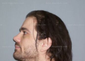 Sean A Nichols