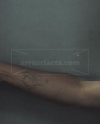 Travis Dewayne Brown