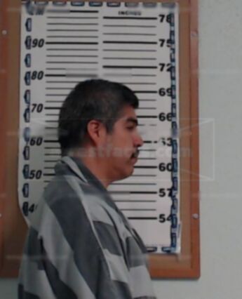 Luis H Martinez-Palma