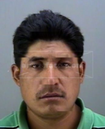 Armando Arellano Morales