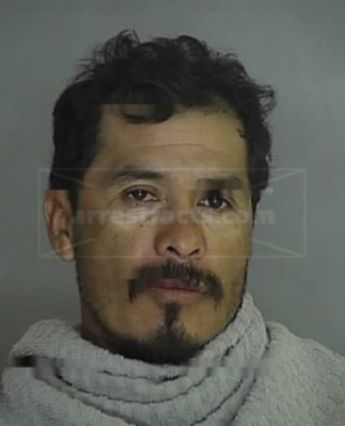 J. Merced Salinas-Chavez