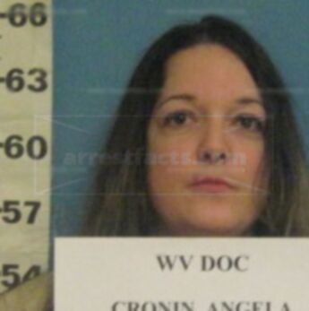 Angela N Cronin